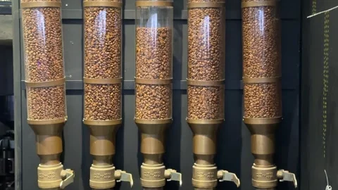 Close-up of various types of coffee beans Stock Footage 295507633