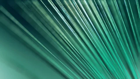 Close up vector 3D palm leaf in relaxing animation loop Stock Footage 79519466