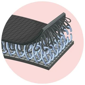 Close Up Vector Illustration of Hook and Loop Fastener Mechanism Ilustração Stock