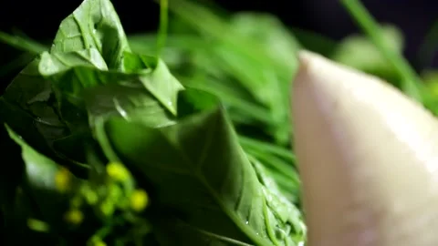 Close-up of vegetable moss and bamboo shoots Stock Footage 236558573