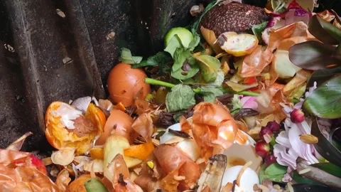 Close-up of vegetable, plant and fruit scraps in a compost collection bin Stock Footage 336182637