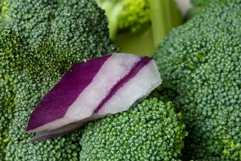 Close Up Vegetables Stock Photos