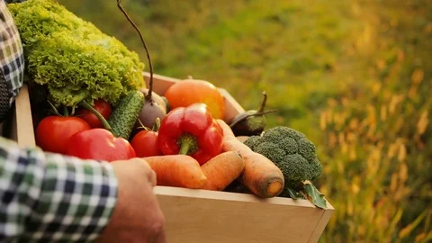 Close up of the vegetables in the wooden box being carried by man's hands Stock Footage 82648207