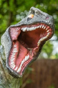 Close up of Velociraptor sharp teeth Stock Photos
