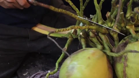 Close-up of Vendor Cutting Fresh Green Coconuts with a Blade Stockbeeldmateriaal 345644664