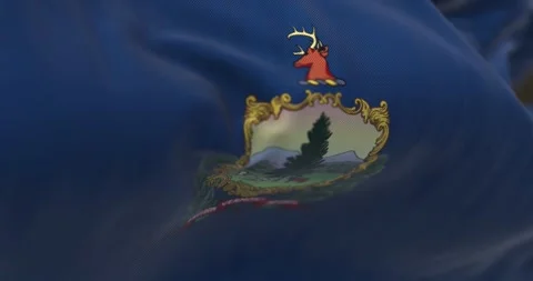 Close-up of the Vermont state flag waving in the wind Stock Footage 244876973