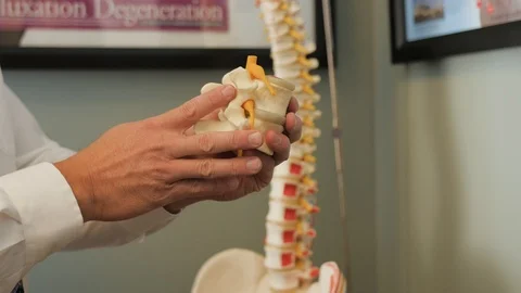Close up of vertebrae model Stock Footage 107758469