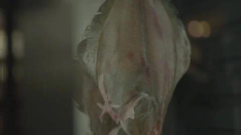 Close-up vertical pan of hanging large fish Stock Footage 336374627