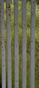 Close‑up of vertical rusted metal bars Stock Photos