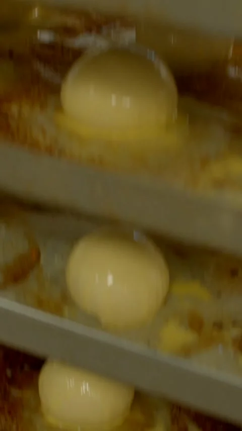Close vertical shot of raw dough balls on stacked bakery trays in production Vídeos de archivo 344571254