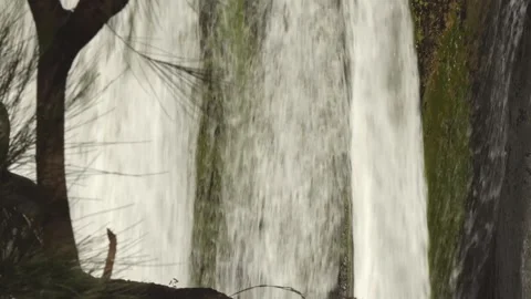 Close-Up Vertical Shot of Rushing Waterfall with Dynamic Flow Stock Footage 315089972