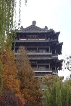 Close vertical study of pagoda amid willows Stock Photos