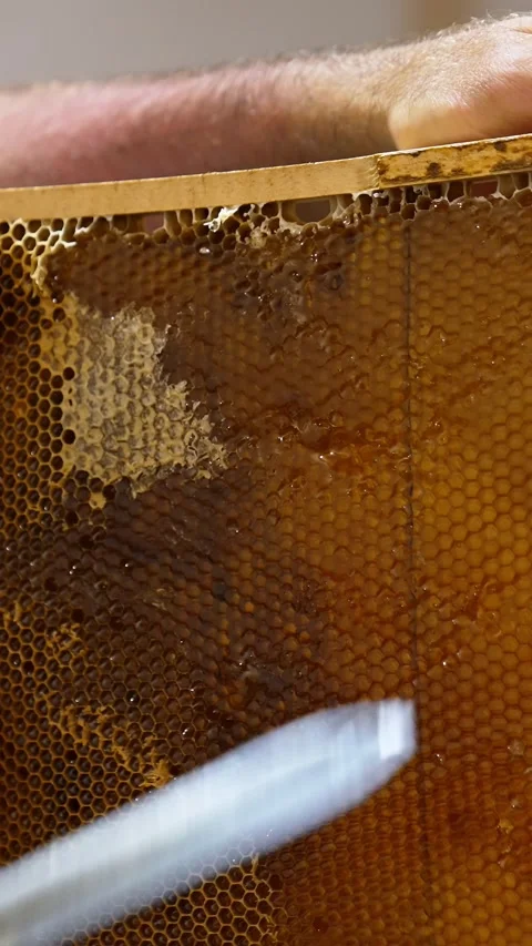 A close up vertical video of a beekeeper harvesting honey from a beehive fr.. Stock Footage 337519763