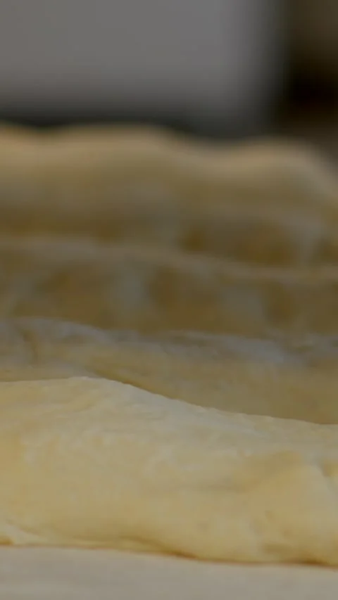 Close-up vertical view of raw dough rows staged for proofing in bakery, with Видео 344571485