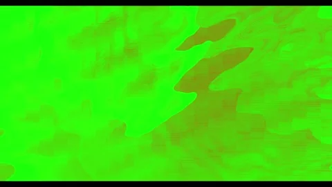 Close-up of a vibrant green leaf with detailed texture and veins Stock Footage 338222885
