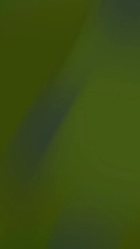 Close-Up of Vibrant Green Leaf Showing Natural Texture and Details Stock Footage 316396601