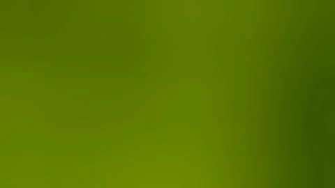 Close-up of vibrant green leaf with smooth edge on blurred natural background Stock Illustration
