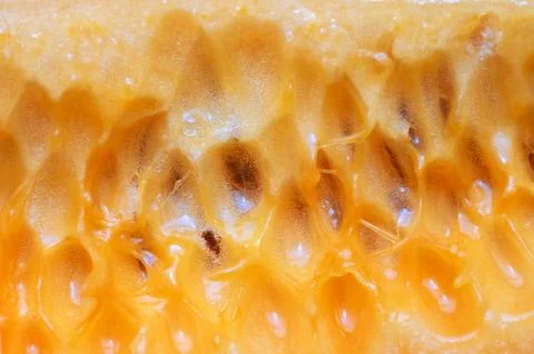Close-up of vibrant orange melon pulp with seeds and natural organic texture 스톡 사진