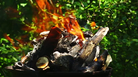 Close-up of a Vibrant Outdoor Campfire Burning with Glowing Orange Flames 스톡 동영상 337431445