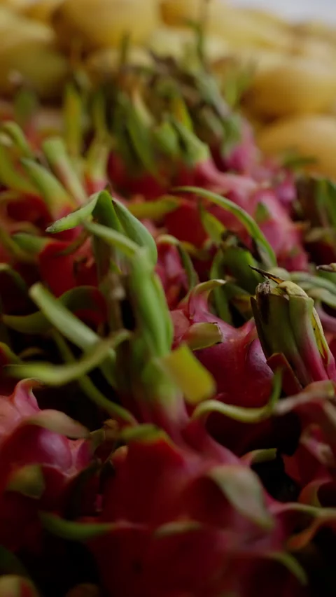Close-up of vibrant pink dragon fruit with green-tipped scales arranged Stock Footage 310490260