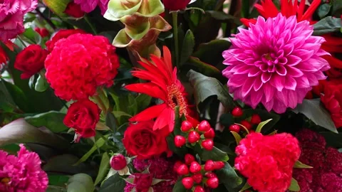 Close-up of vibrant red and pink floral arrangement with dahlias Stock Footage 346363825
