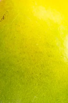 Close-up of vibrant tropical mango fruit surface Stock Photos
