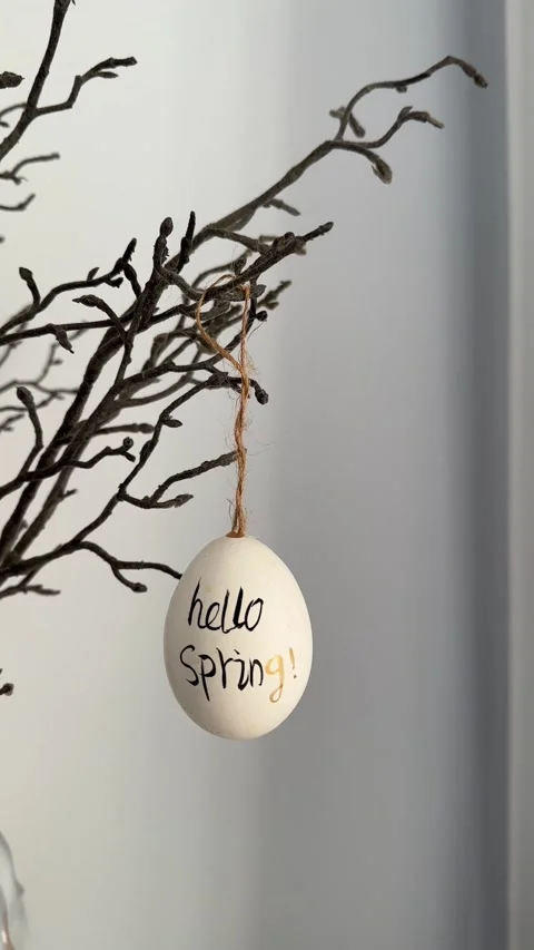 Close up video of beautiful easter willow branches with hanging easter egg Vídeo Stock 234638665