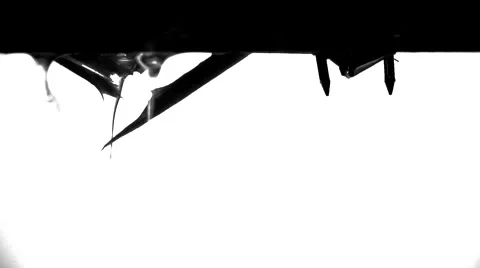 Close up video of Broken wood with water spilling through Stock Footage 49935281