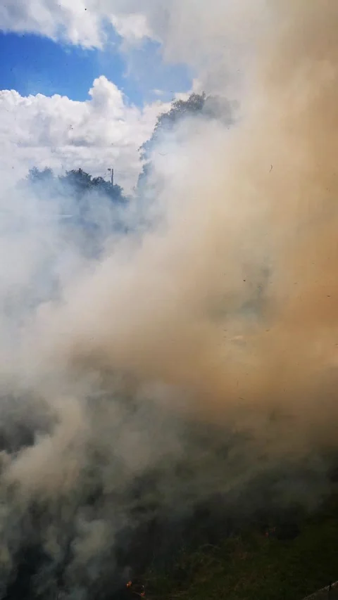 A Close-up  Video of a Bush Fire Stock Footage 168765758