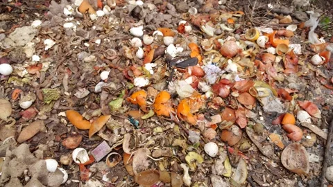 Close up video of compost. Bio waste, vegetables and fruits food scraps back Stock Footage 306281558