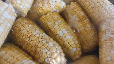 Close up video of cooking corn Stock Footage 251613954