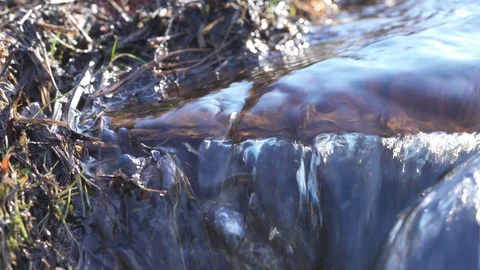 Close up video of crystal clear water running in mountain forest creek. Stock Footage 124705361