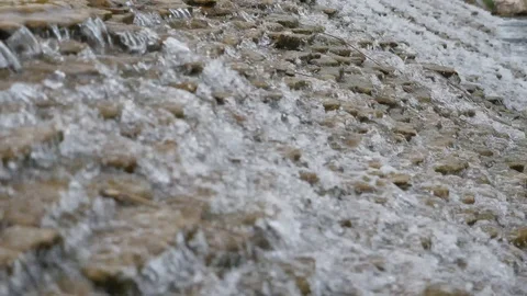 Close up video of crystal clear water running in mountain forest creek. Stock Footage 129657394
