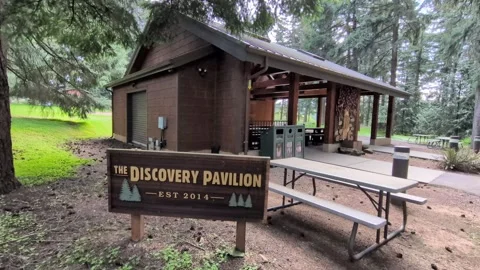 Close-up video of the "Discovery Pavilion Est. 2014" wooden sign with artwork, Stock Footage 338360479