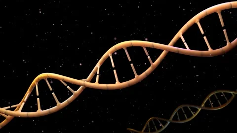 Close-up video of DNA, Technology and medical concepts Stock Footage 179377137