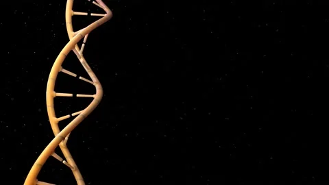 Close-up video of DNA, Technology and medical concepts Stock Footage 179377166