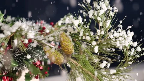 Close up video of evergreen pine branches with cones and red berries covere.. Stock Footage 337630636