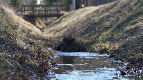 Close up video of fresh pure running water in mountain forest creek. Stock Footage 124705247