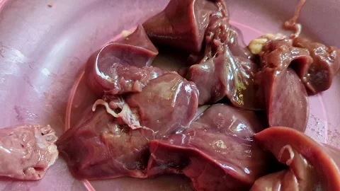 A close-up video of fresh raw chicken liver and other parts in a plastic plat Vídeos de archivo 262331795