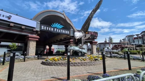 Close up video of giant bald eagle statue with fish Stock Footage 334973665