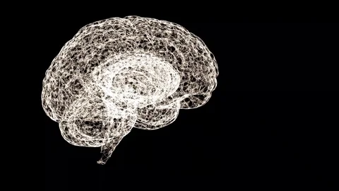 Close up video of human brain looking to be formed of spider web floating over Stock Footage 121801126