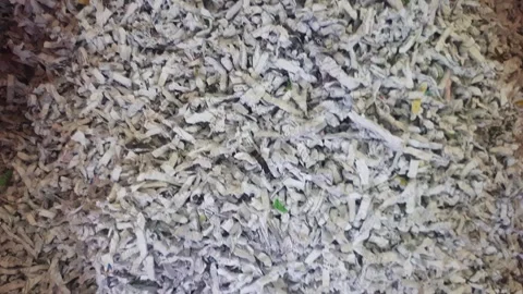 Close up video of a human hand touching and letting shredded paper fall. Stock Footage 329459082