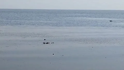 Close up video of lake . Stock Footage 141808826