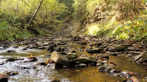 Close up video mountain carpathian river. Wild nature Stock Footage 120016352