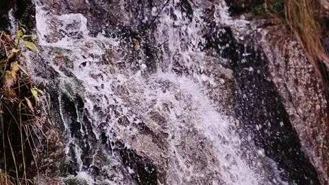 Close up video of mountain river with clean water. Media. Spring nature 動画素材 142640600