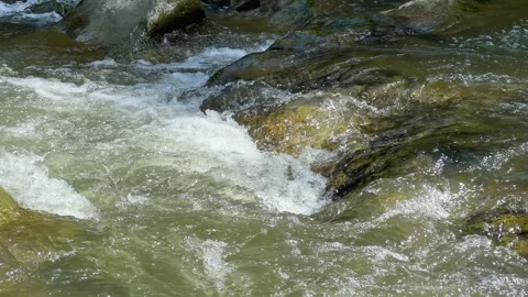 Close-up video of a mountain river flowing in a bountiful sparkling clean stream Stock Footage 245376420
