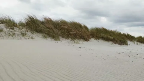 Close-up video of a moving sand during windy weather on German coast of Balti Stock Footage 131178297