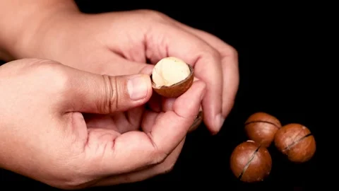 A close up video of a person peeling macadamia nuts revealing the edible ke.. Stock Footage 333839657