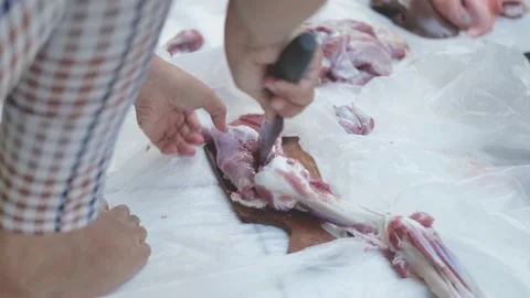 Close-up video of raw meat cutting with a knife. eid adha qurban Stock Footage 201182800