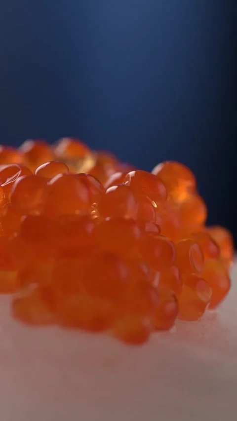 Close-up video of red salmon delicately served on an ice cube, rotating on a Stock Footage 330616401